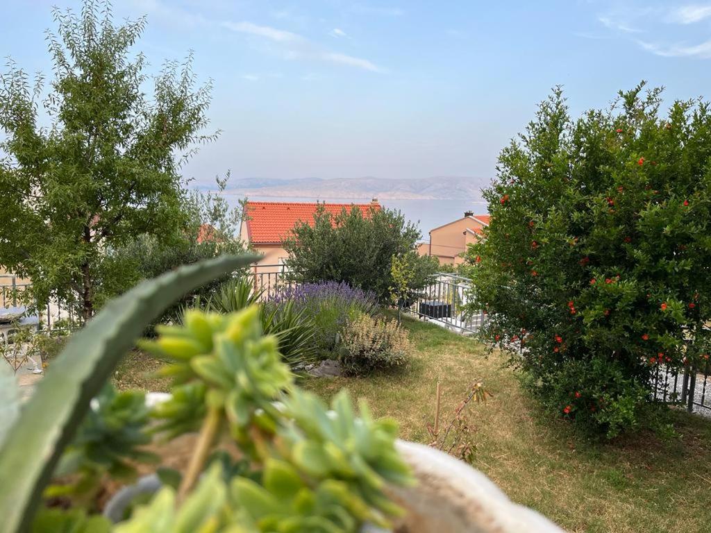 Apartment Verda Senj  Buitenkant foto