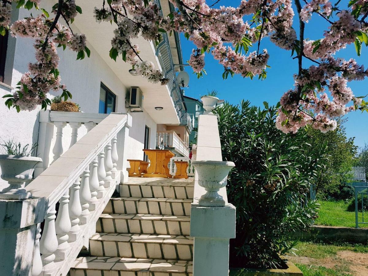 Apartment Verda Senj  Buitenkant foto